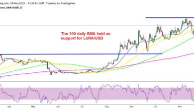 Terra LUNA die bullischste Krypto, Cardano ADA hört auf zu rutschen