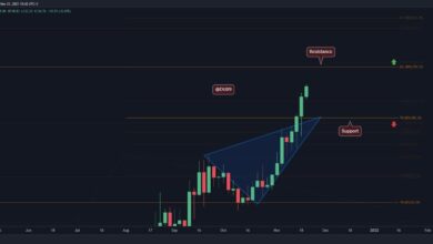 AVAX explodiert zu neuem ATH, was ist das nächste Ziel?
