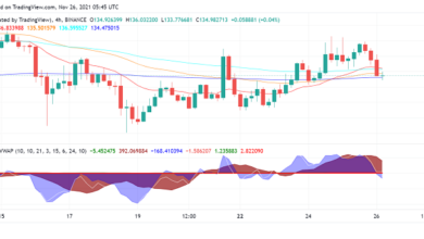 Axie Infinity (AXS) rüstet sich trotz Verkauf von Genesis Virtual Land zum Testen des Drehpunkts
