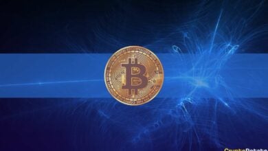 Bitcoin korrigiert 10%, Metaverse-Token auf dem Vormarsch: Zusammenfassung dieser Woche