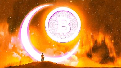 Bitcoin soll König bleiben, aber der Rest der Kryptomärkte könnte jedermanns Spiel sein: Kraken-CEO Jesse Powell