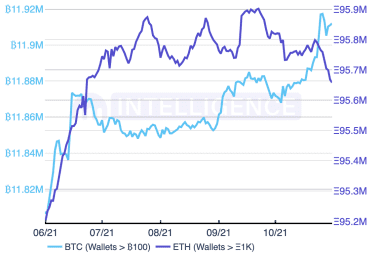 Bitcoin und Ethereum in Wallets der Wale