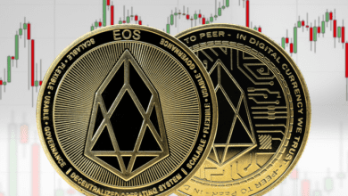Block.one hat EOS-Investoren fehlgeleitet: CEO der EOS Foundation