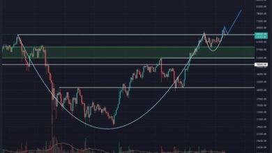 Bullish Backtest oder Grund zur Sorge? (BTC-Preisanalyse)
