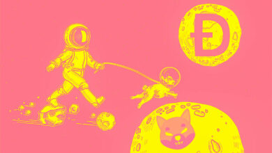 Cardano Creator untersucht Shiba Inu und Dogecoin und listet Schlüsselfaktoren bei der Bewertung von Kryptoprojekten auf