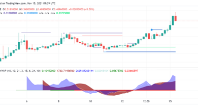 Crypto.com Coin bricht in die Top 20 der Kryptowährungen nach Marktkapitalisierung ein