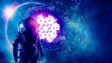 Die Hydra-Skalierbarkeitslösung für Cardano hat hohe kommerzielle Priorität, sagt Gründer Charles Hoskinson