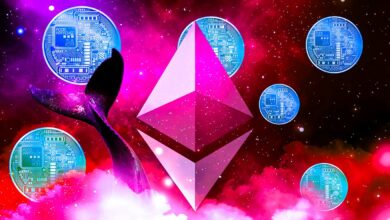 Ethereum Wal lädt sechs Altcoins inmitten des Wiederauflebens des Bitcoin- und Kryptomarktes auf