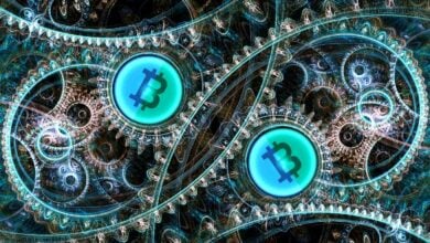 Folgendes hält Bitcoin davon ab, sich zu neuen Allzeithochs zu erholen, laut On-Chain Analyst Willy Woo