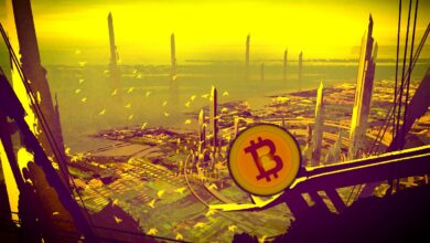 Hier ist der Grund, warum Bitcoin in diesem Jahr nicht auf 100.000 US-Dollar steigen wird, so der Krypto-Analyst Nicholas Merten