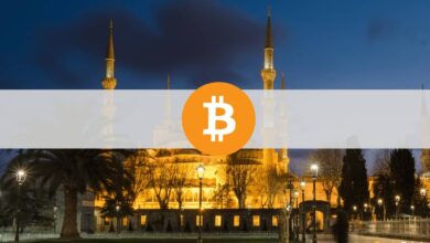 Kann Bitcoin ein Rettungsboot für Einheimische sein?