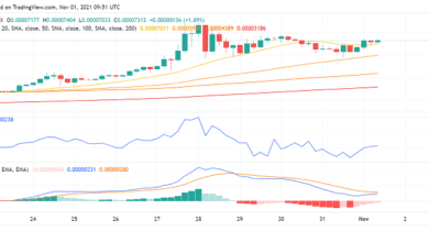Können starke Fundamentaldaten Shiba Inu (SHIB) noch höher treiben?