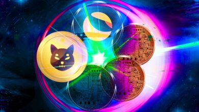 Krypto-Analyst Michaël van de Poppe aktualisiert Preisprognosen für Shiba Inu, Terra und drei weitere Altcoins