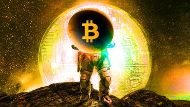 Krypto-Analyst gibt Warnung heraus, sagt Altcoins, den Preis zu zahlen, wenn Bitcoin bereit ist, "hart zu gehen"