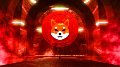 Krypto-Analyst sagt, dass Shiba Inu bereit ist, das Allzeithoch erneut zu erreichen, und prognostiziert eine große Rallye für XRP