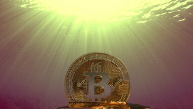 Krypto im Wert von über 750.000.000 USD in nur 12 Stunden liquidiert, da die Märkte ausverkauft sind