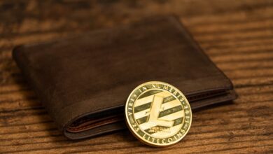 Litecoin wird wie prognostiziert zinsbullisch – Halten unseres Kaufhandels als LTC-Kopf für 300 $