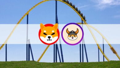Memecoins SHIB und FLOKI sind seit ATH . um über 50% gefallen