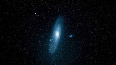 Metis führt Andromeda Layer 2-Netzwerk ein, um EVM-Äquivalenz und Dezentralisierung zu ermöglichen