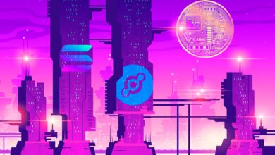 Milliardär Chamath Palihapitiya warnt Anleger und analysiert den wirtschaftlichen Wert von Solana und zwei Altcoins