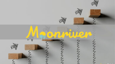 Moonriver übertrifft 8 Millionen Transaktionen im Zuge des Fortschreitens der Polkadot Parachain-Auktion