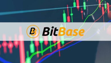Phygital Exchange BitBase (BTBS) war auf Bittrex Global gelistet