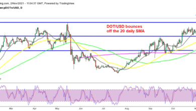 Polkadot (DOT) Crypto klettert auf Allzeithochs von über 50 $, wenn sich Parachain-Auktionen nähern