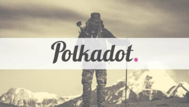Polkadot (DOT) steigt in Erwartung der Parachain-Auktionen um 15 % auf ein neues Allzeithoch