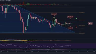 SHIB konsolidiert sich in einem engen Bereich, ruhig vor dem Sturm? (Shiba Inu Preisanalyse)
