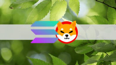 SOL und SHIB steigen um 12%, Bitcoin fordert 62.000 US-Dollar zurück (Market Watch)
