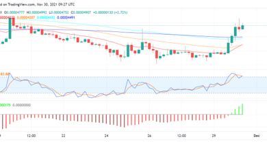 Shiba Inu (SHIB) steigt um über 25 %: Was passiert?