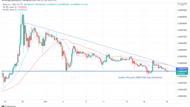 Shiba Inu (SHIB/USD) auf Make-or-Break-Niveau. Werden Bullen den Boden halten?