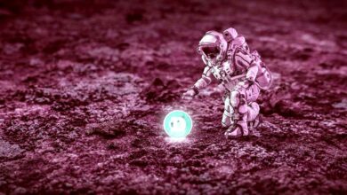 Shiba Inu übertrifft Dogecoin und wird zum neuntgrößten Krypto-Asset, da die führende US-Börse bereit erscheint, beliebte Altcoin aufzulisten