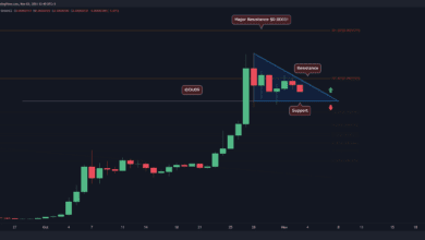 Shiba Inu verliert täglich 7% und wird jetzt kritisch unterstützt