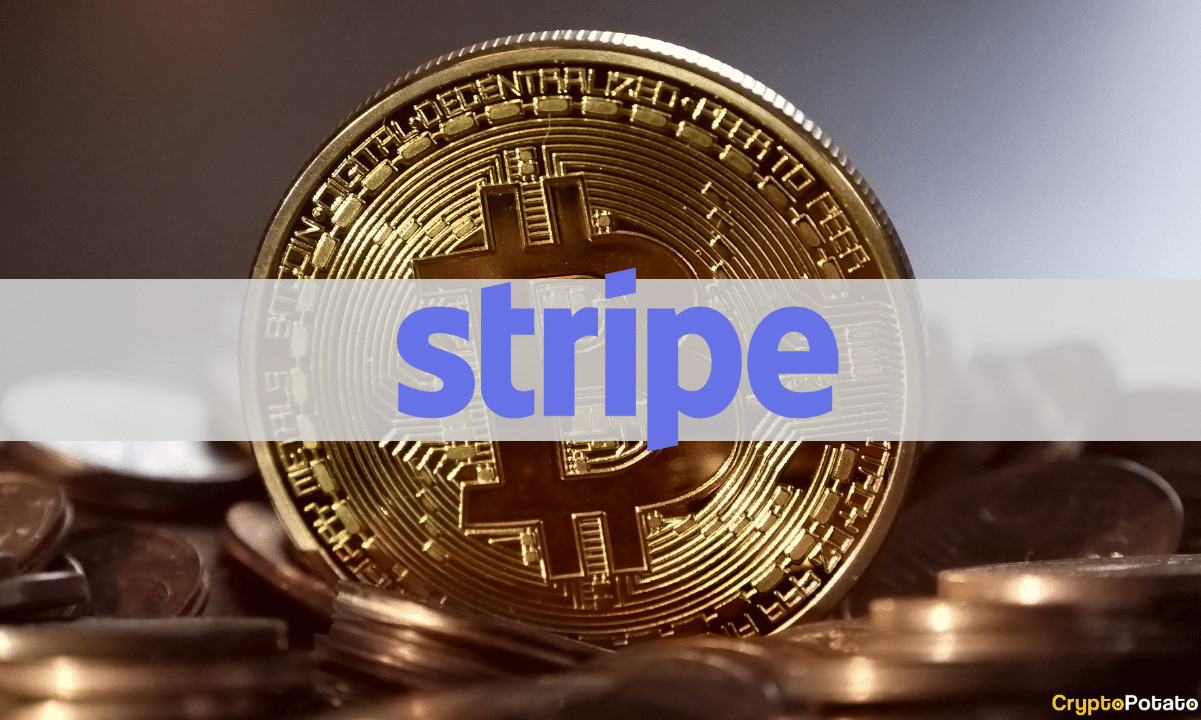 Stripe erwägt, Bitcoin-Dienste wieder zu aktivieren, sagt CEO