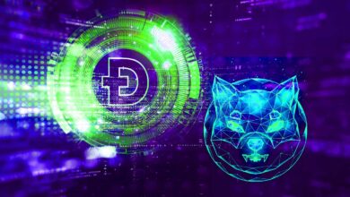 Top-Rohstoffanalyst gibt Shiba Inu und Dogecoin-Warnung heraus und sagt „Je früher, desto besser“ für Altcoin Flush