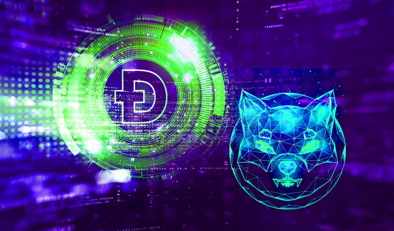 Top-Rohstoffanalyst gibt Shiba Inu und Dogecoin-Warnung heraus und sagt „Je früher, desto besser“ für Altcoin Flush