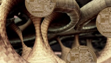 Vier Altcoins inklusive Binance Coin und Avalanche Bereit, die Stratosphäre zu erreichen, so ein beliebter Krypto-Analyst