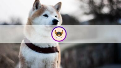Was ist Floki Inu (FLOKI)? Alles, was Sie über den Trend Memecoin wissen müssen