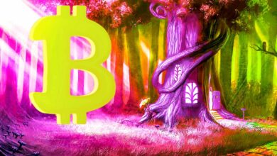 Wenn Bitcoin Gold und Immobilien überholen könnte, sagt der Quant-Analyst PlanB
