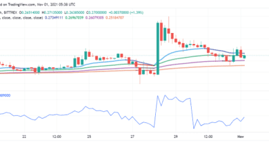 Wird Dogefather Elon Musk Dogecoin (DOGE) helfen, sich gegen Shiba Inu (SHIB) zu sammeln?