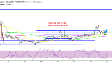 Wir bleiben lange bei Litecoin und Fantom, während LTC und FTM höher kehren
