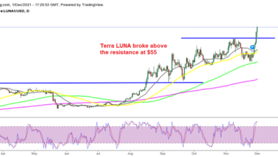 Terra LUNA steigt auf Rekordhochs, Shiba Inu Coin bricht vom Support ab