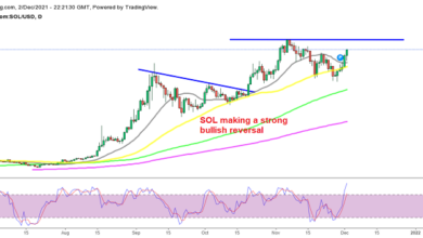 Solana (SOL) steuert auf Rekordhochs zu, Kadena (KDA) Coin Accumulation Pressure