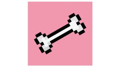 Dogs on Solana – Doge Capital kündigt Doge NFT Staking-Programm an, bei dem Benutzer täglich DAWG verdienen können