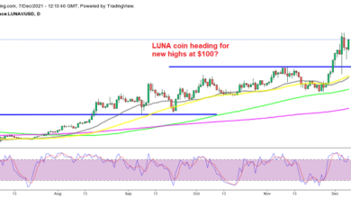 Shiba Inu Coin bereit für einen Ausbruch, Terra LUNA steigt trotz des Marktrückgangs weiter