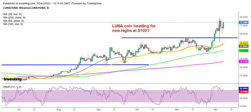 Shiba Inu Coin bereit für einen Ausbruch, Terra LUNA steigt trotz des Marktrückgangs weiter