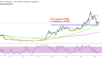 Entscheidende Zeit für Avalanche (AVAX) und Polkadot (DOT) – Zeit, bullisch zu werden?