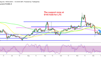 Litecoin LTC, Fantom Crypto FTM Stopp beim Support – Wird der Aufwärtstrend bald wieder aufgenommen?