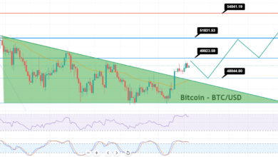 Bitcoin (BTC/USD) Preisanalyse – Geht es nach 50.000 USD?